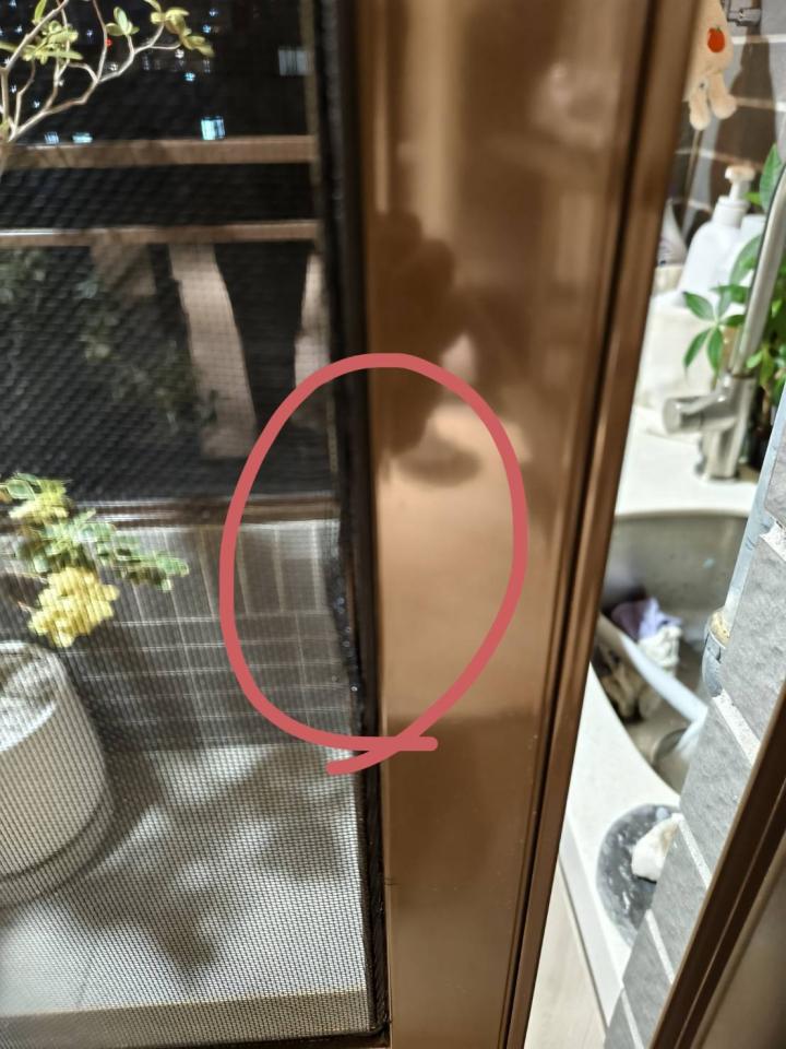 紗窗裝修案件圖片