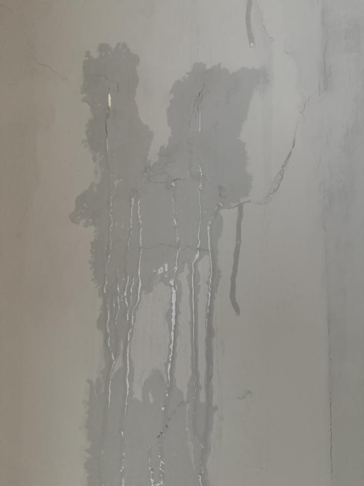 壁癌處理案件圖片