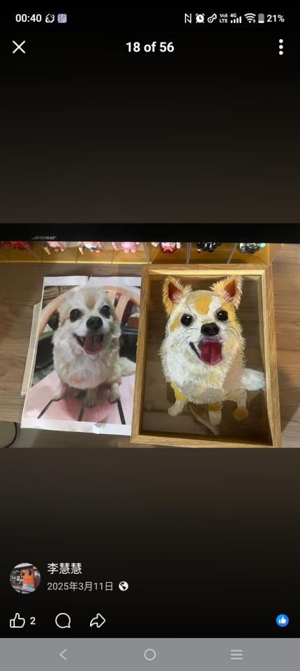 插畫案件圖片
