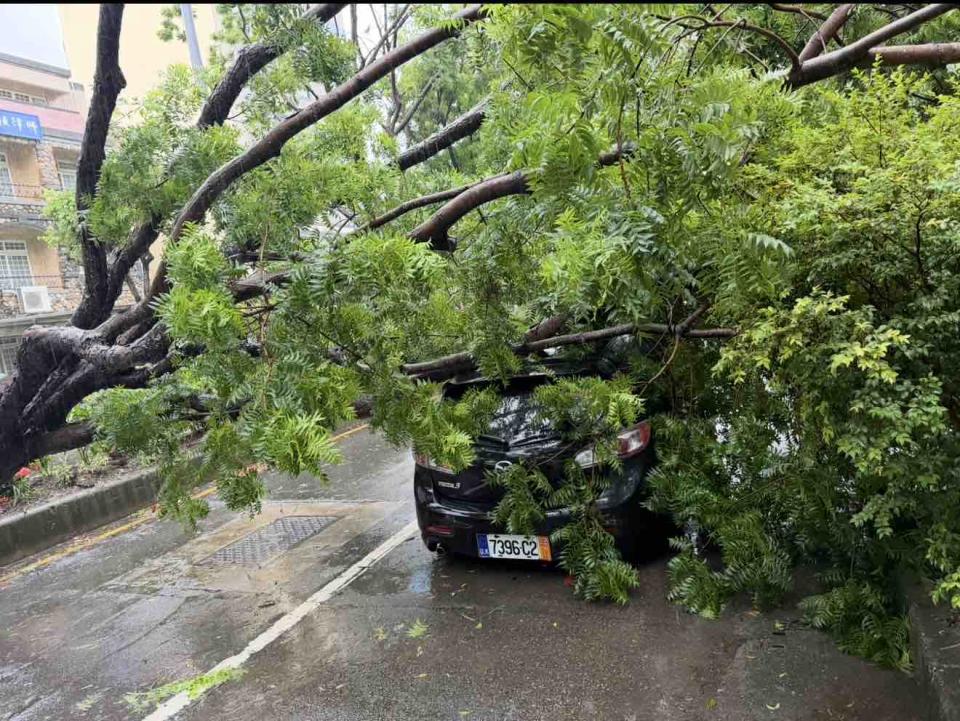 汽車維修保養案件圖片