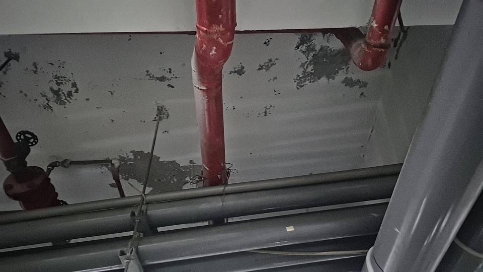 油漆工程案件圖片