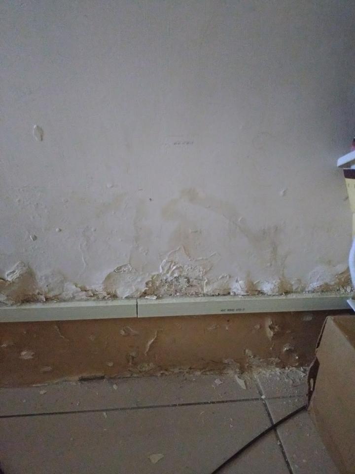 壁癌處理案件圖片