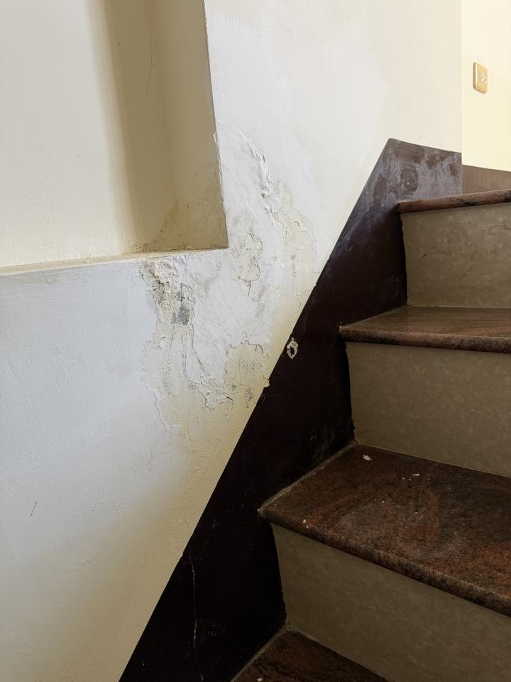 抓漏案件圖片