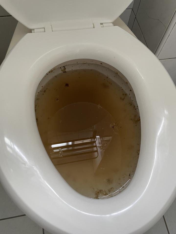 馬桶裝修案件圖片
