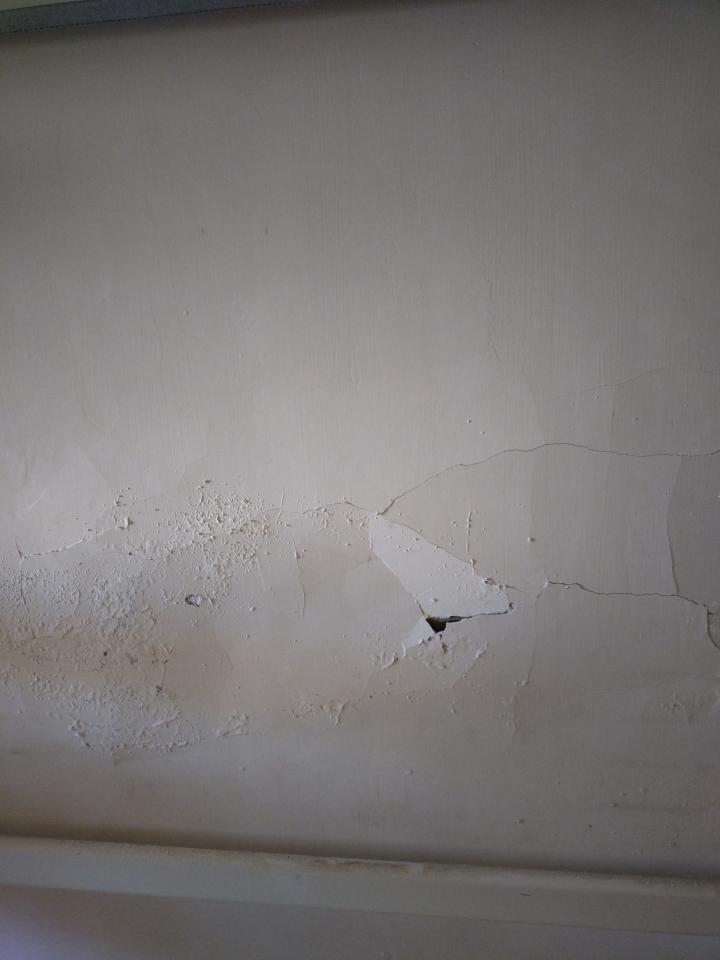 壁癌處理案件圖片
