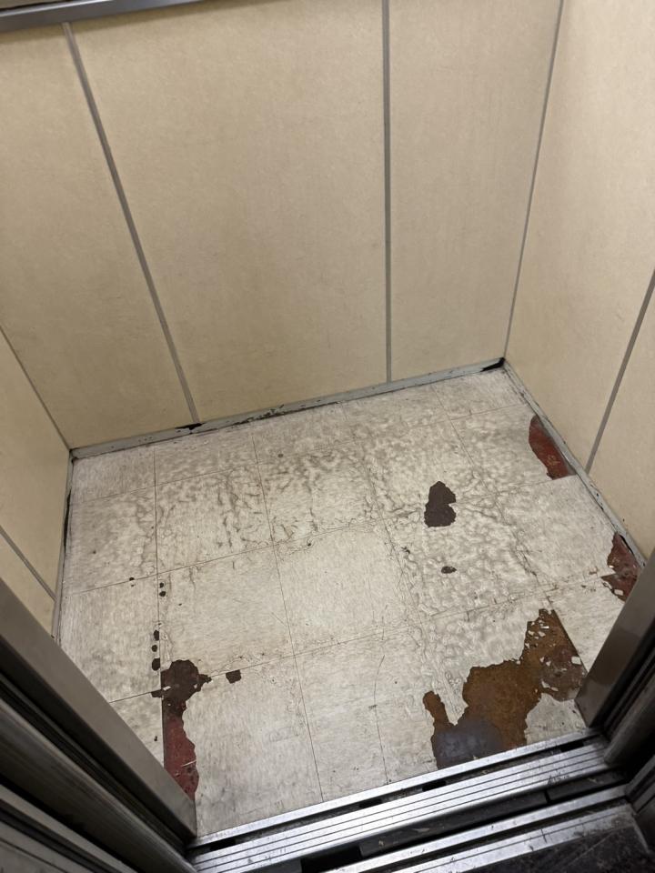 地板施工案件圖片