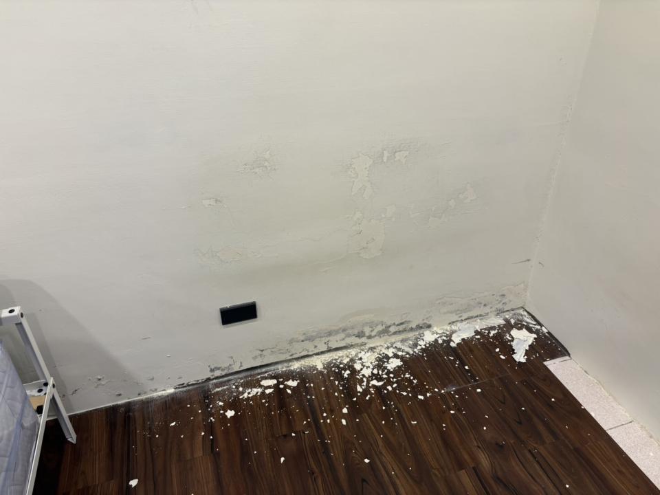 油漆工程案件圖片