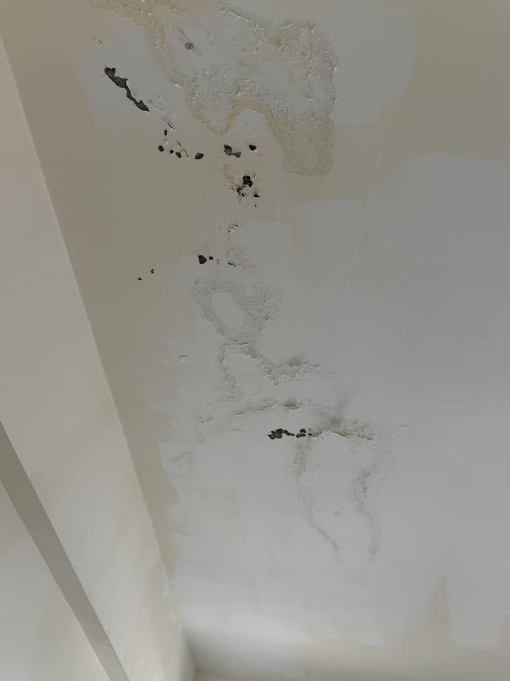 抓漏案件圖片
