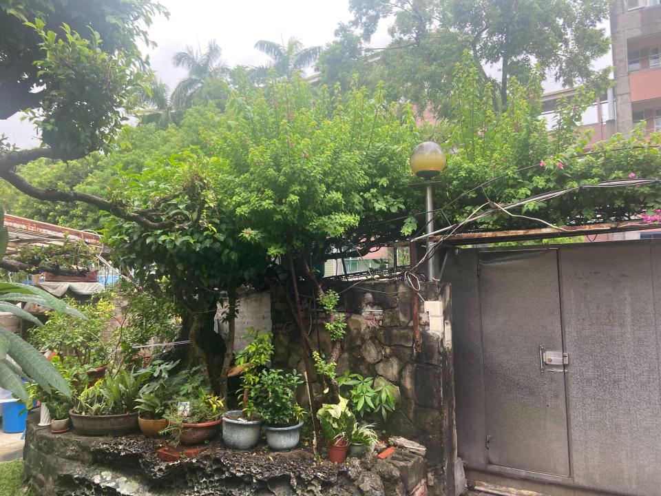 園藝維護案件圖片