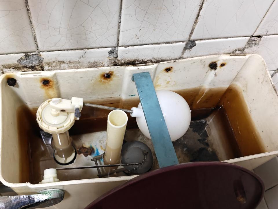 馬桶裝修案件圖片