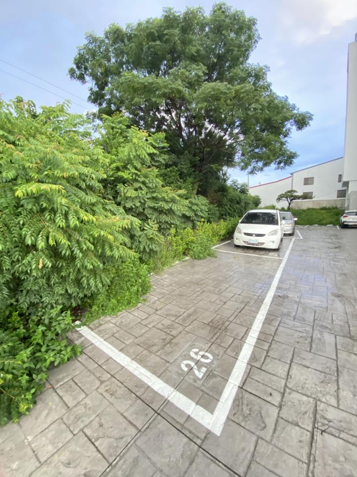 園藝設計案件圖片