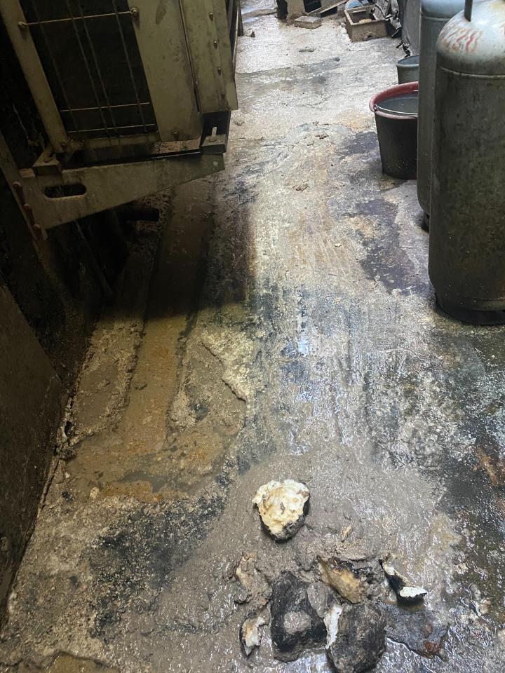環保工程案件圖片