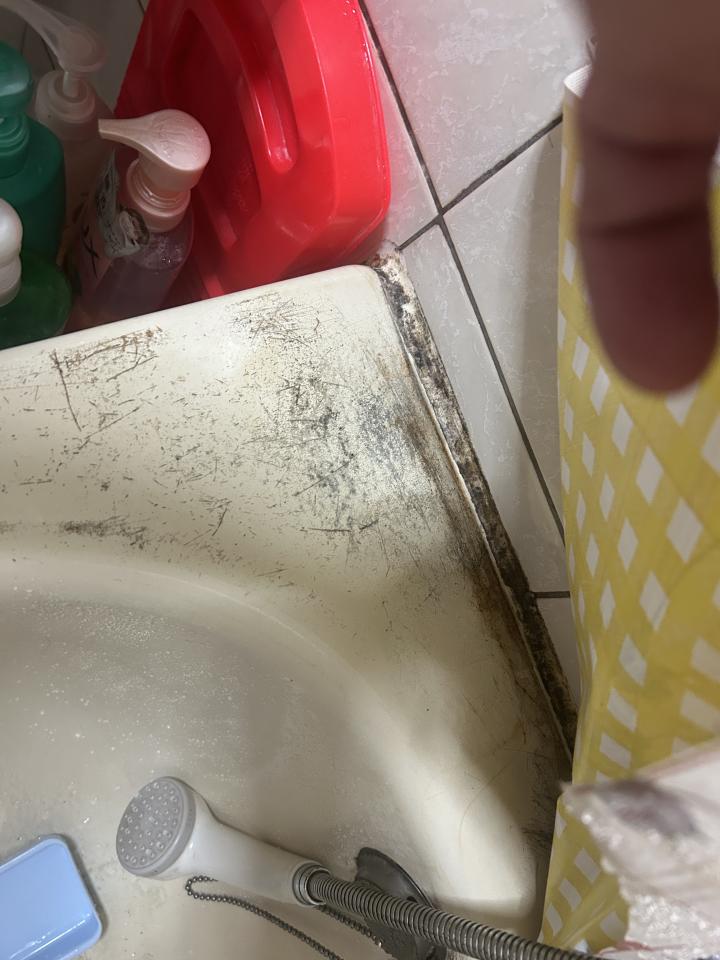 浴缸與淋浴裝修案件圖片