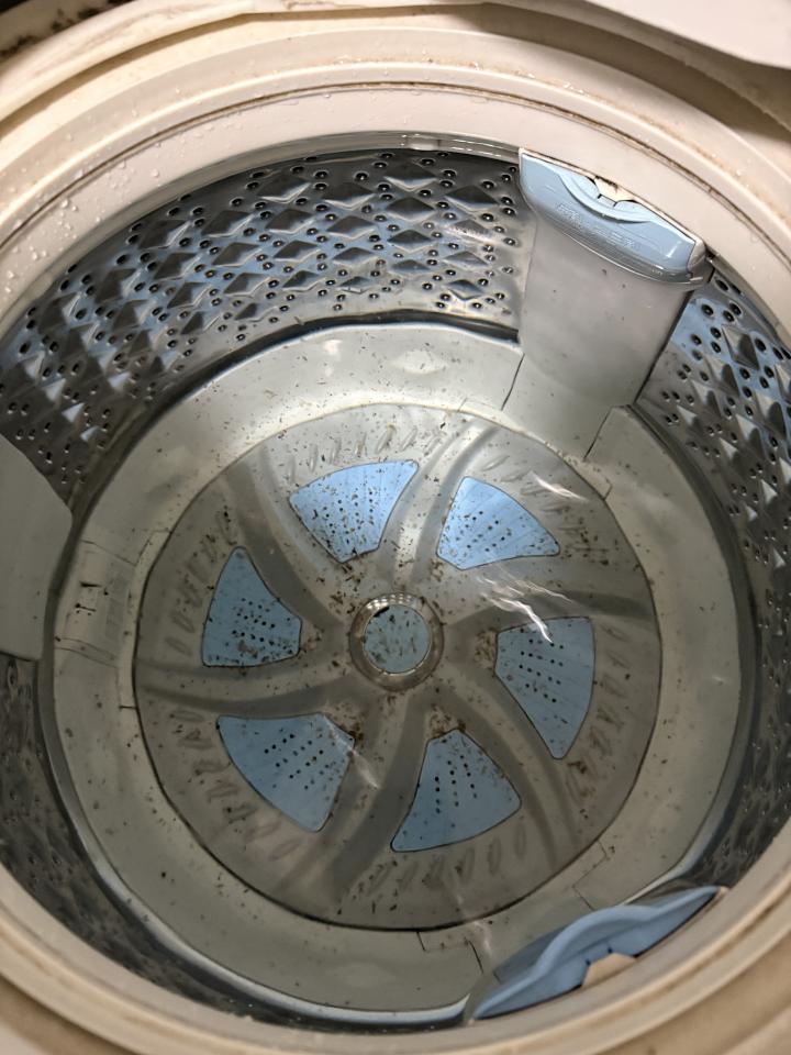洗衣機清洗案件圖片