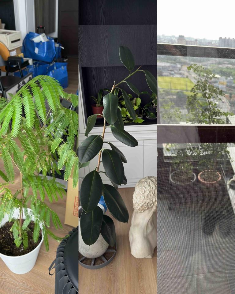 載貨運輸服務案件圖片