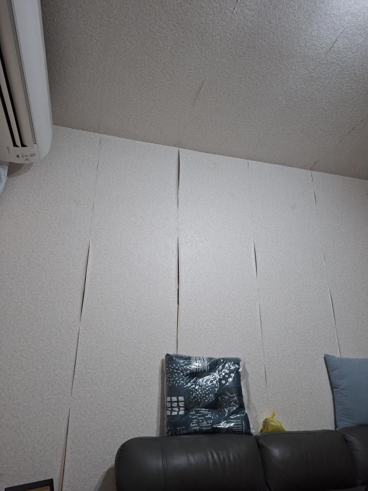 壁紙清除案件圖片