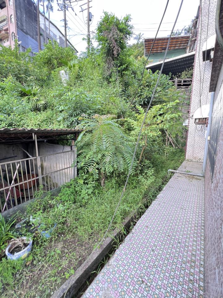 園藝維護案件圖片