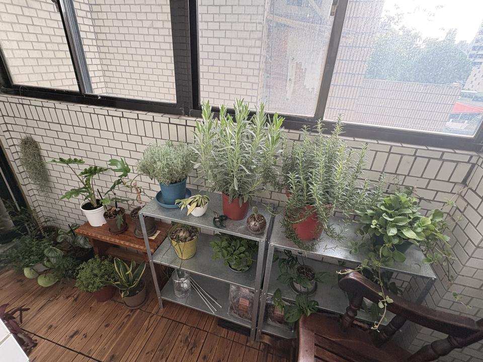 紗窗裝修案件圖片
