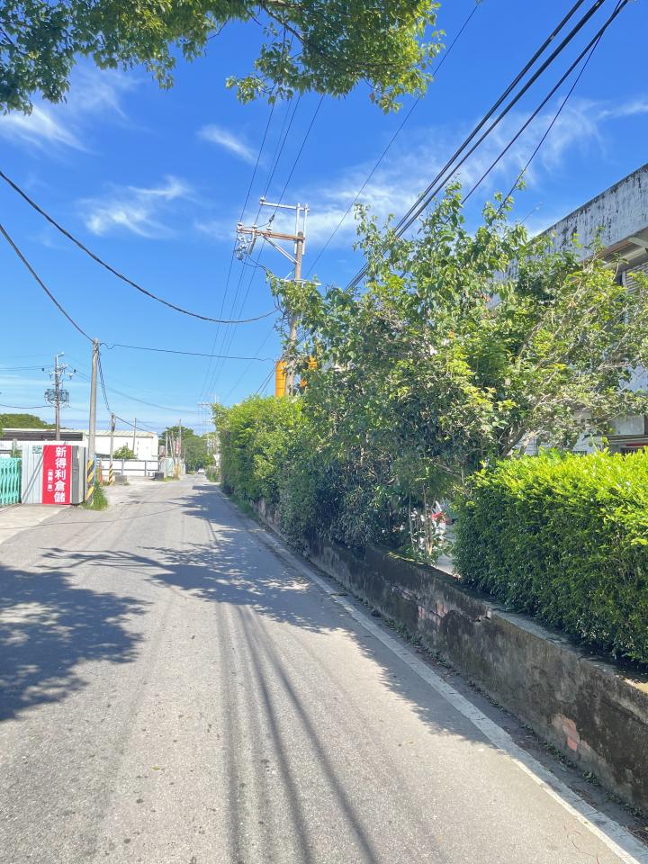 園藝維護案件圖片