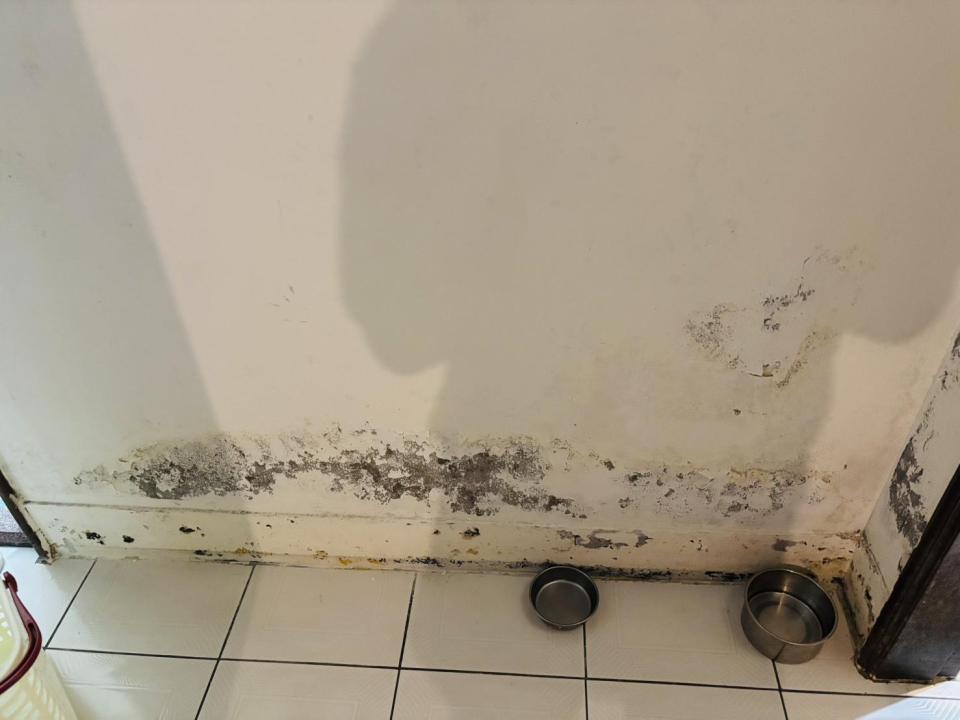 漏水處理案件圖片