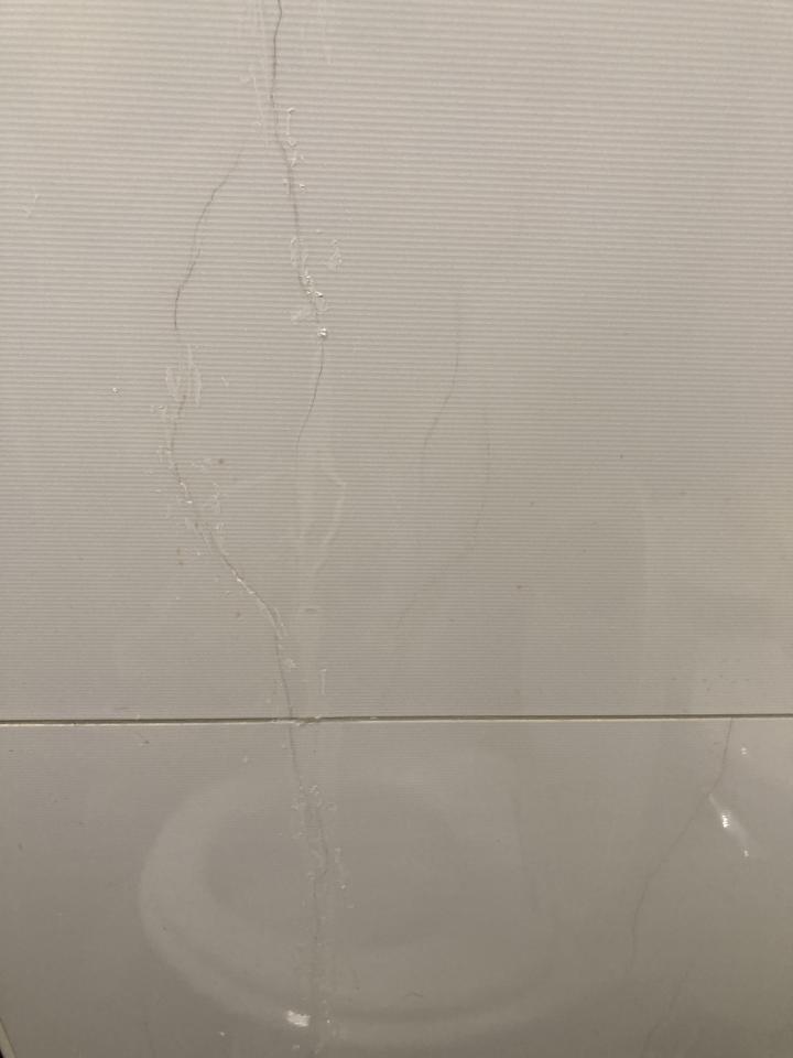 抓漏案件圖片