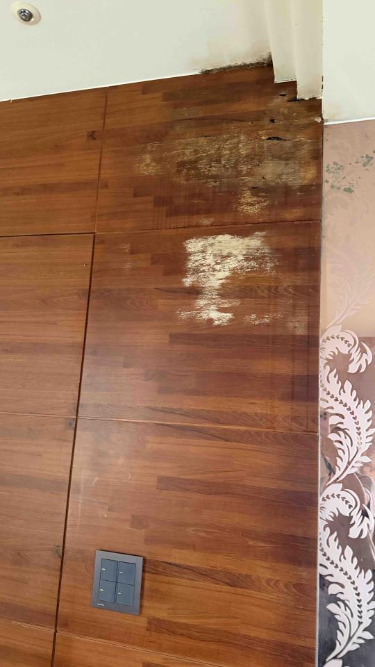 拆除工程案件圖片