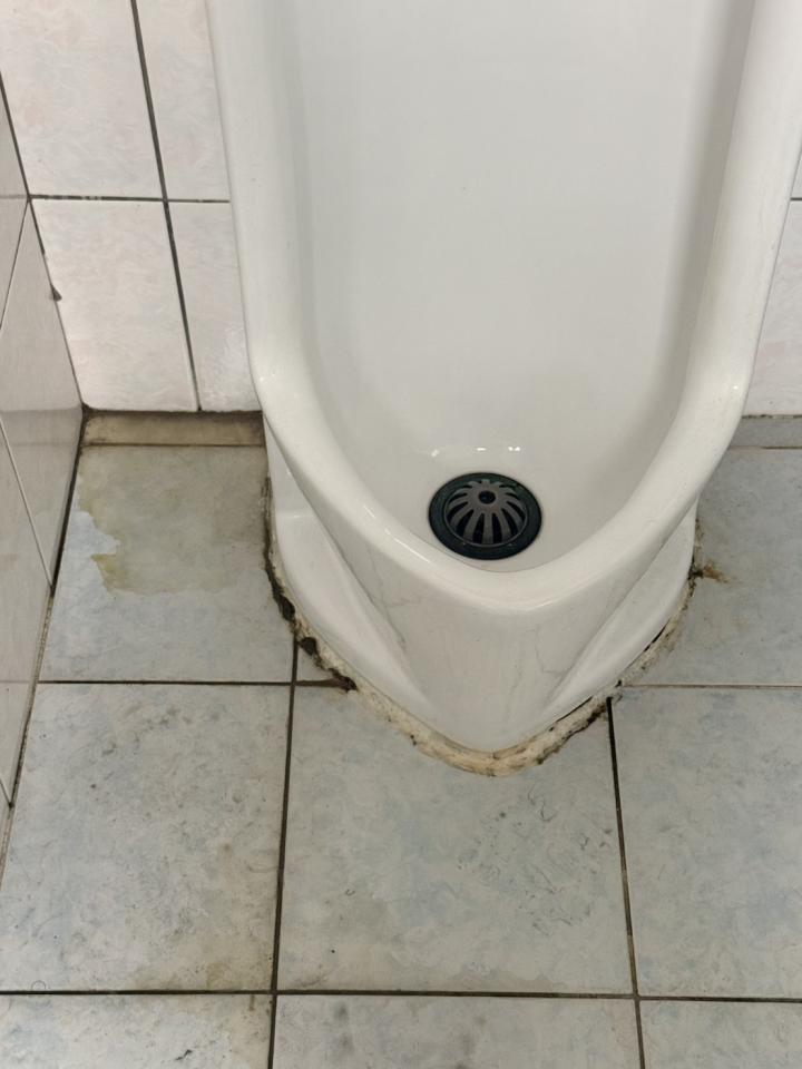 馬桶裝修案件圖片