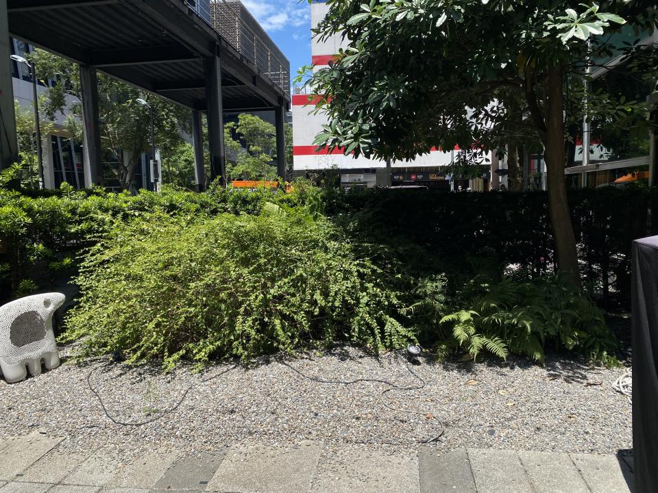 園藝維護案件圖片