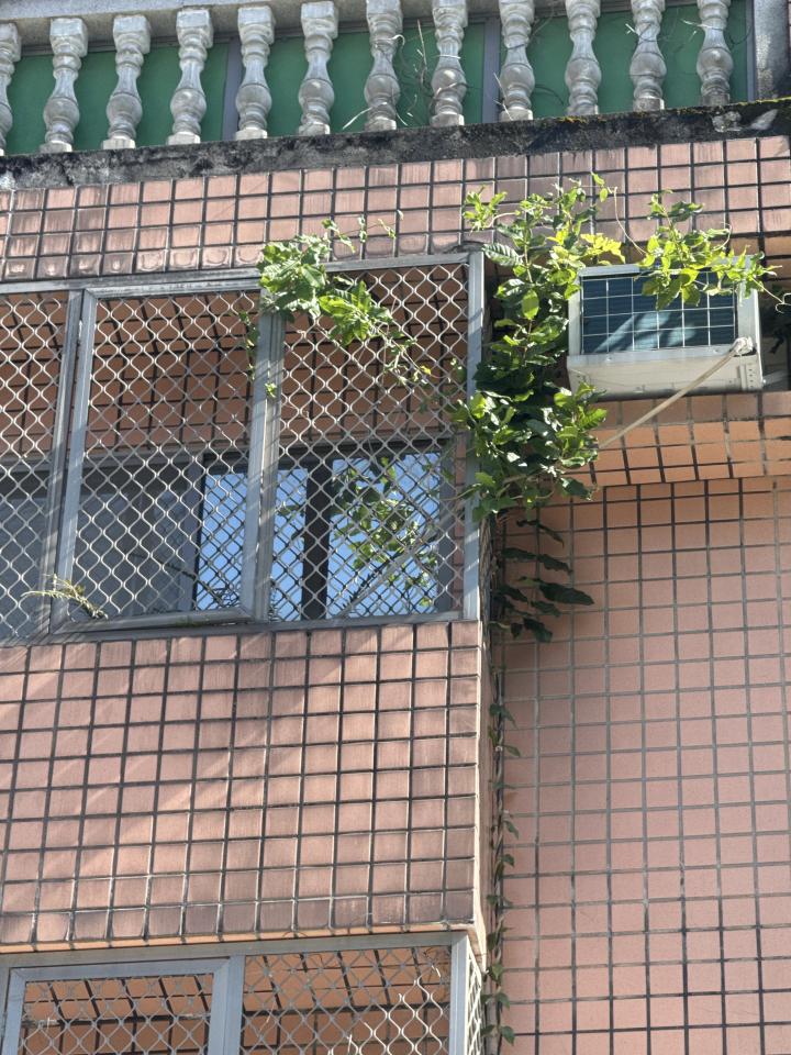 園藝維護案件圖片
