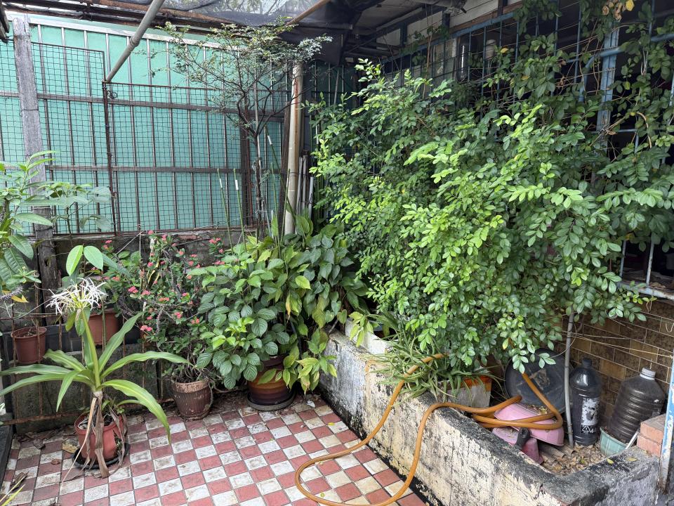 園藝維護案件圖片