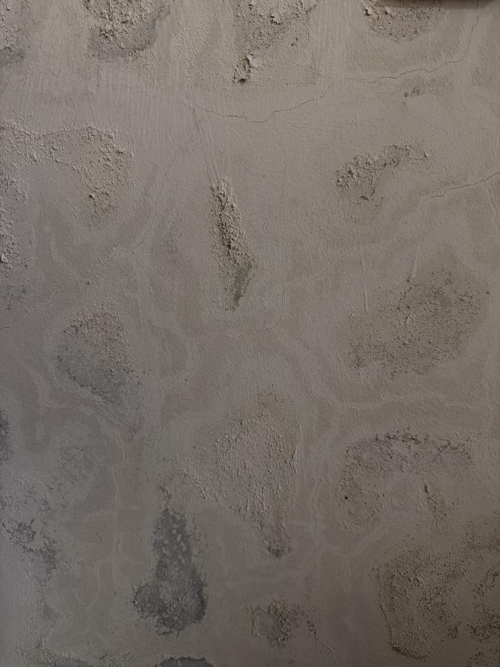 抓漏案件圖片