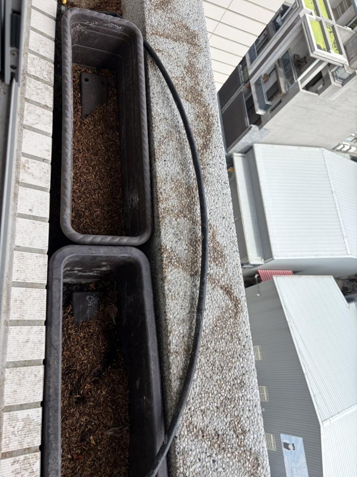 花園自動灑水系統案件圖片