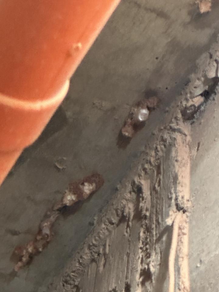 漏水處理案件圖片
