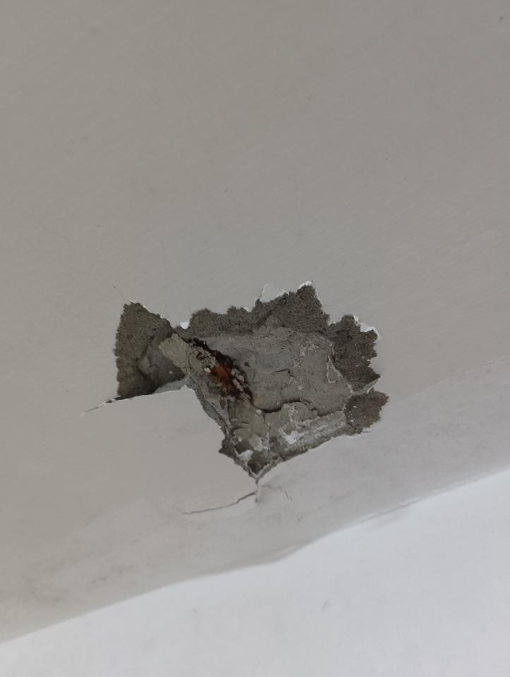 鋼筋外露處理案件圖片