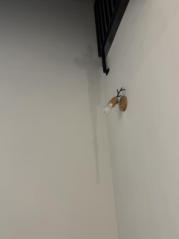 抓漏案件圖片