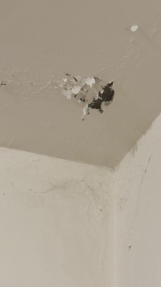 油漆工程案件圖片