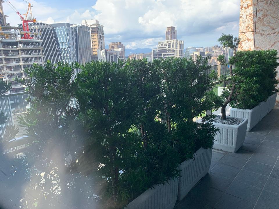 花園自動灑水系統案件圖片