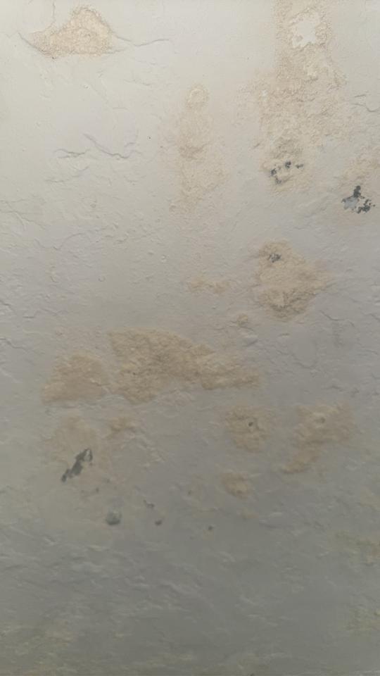 除霉案件圖片