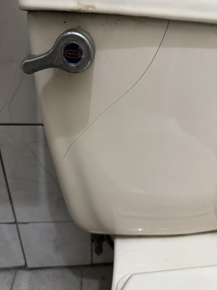 馬桶裝修案件圖片