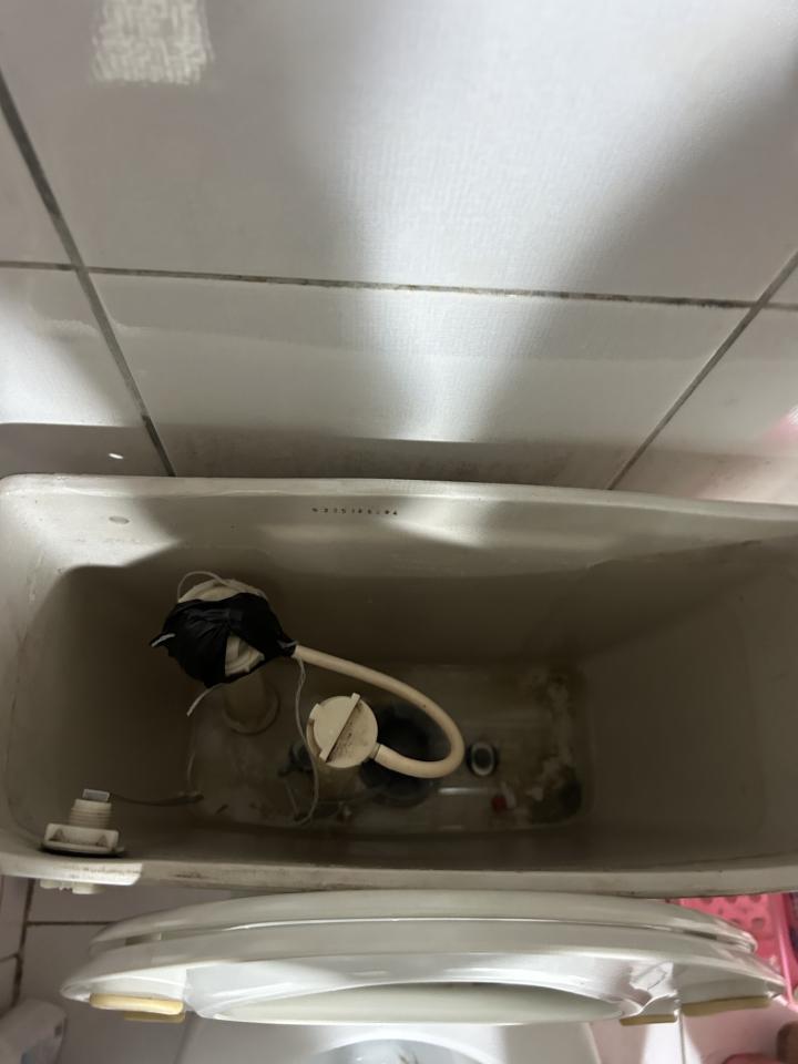 馬桶裝修案件圖片
