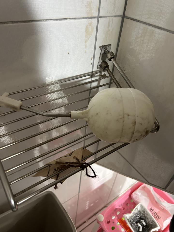 馬桶裝修案件圖片