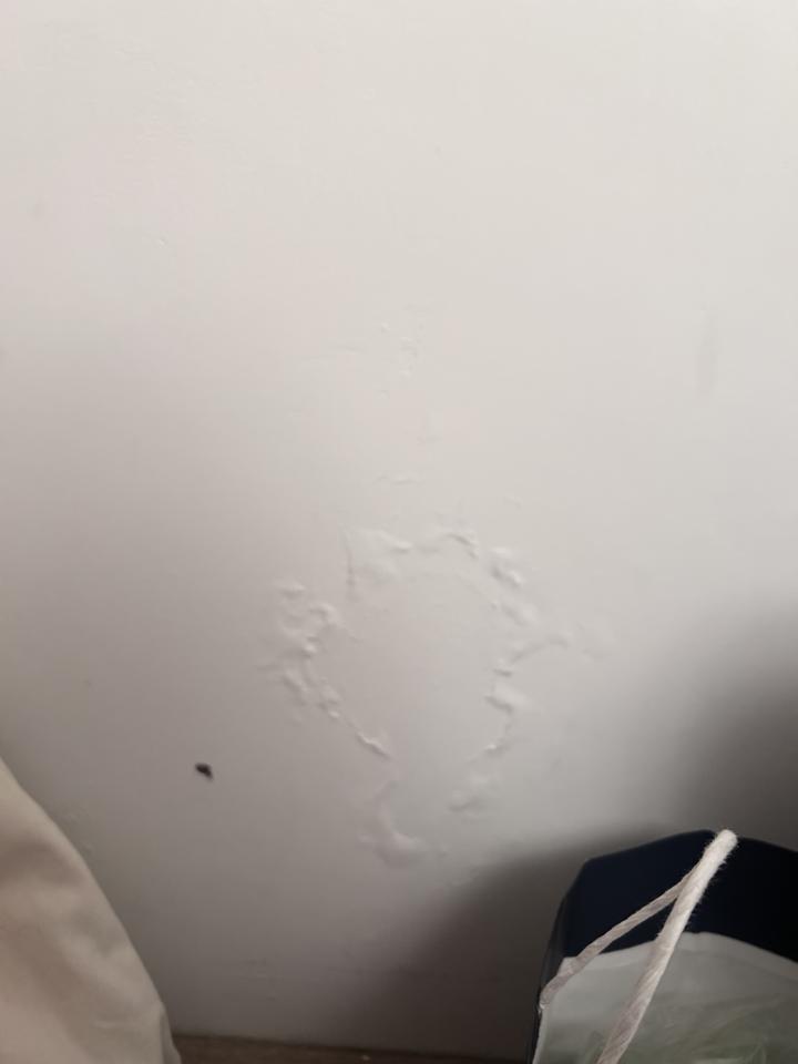 壁癌處理案件圖片