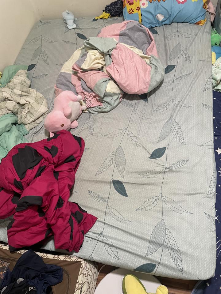 搬家案件圖片
