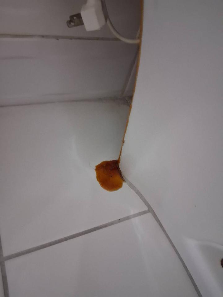 馬桶裝修案件圖片