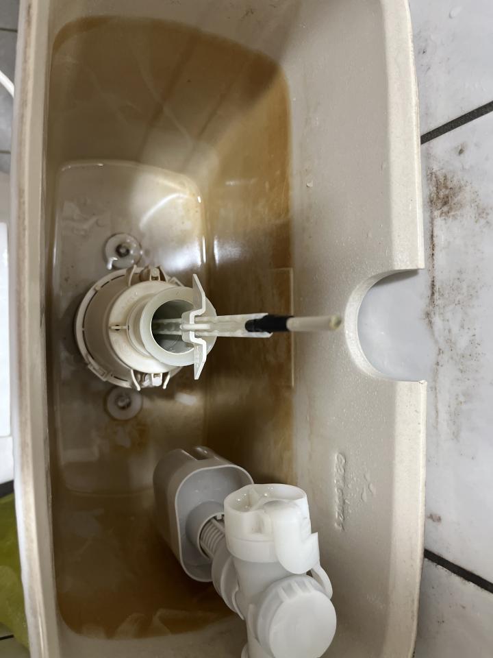 馬桶裝修案件圖片