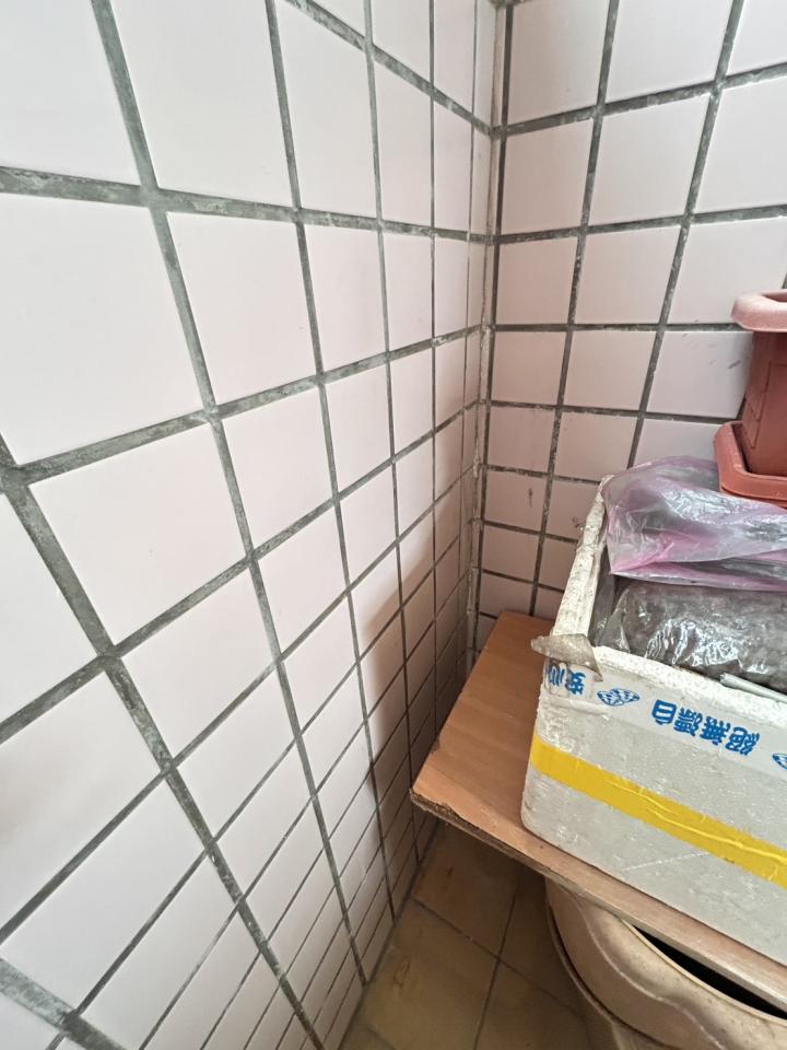 鐵皮屋頂案件圖片