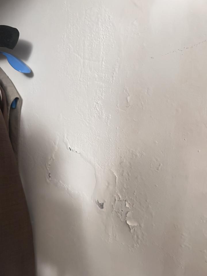壁癌處理案件圖片