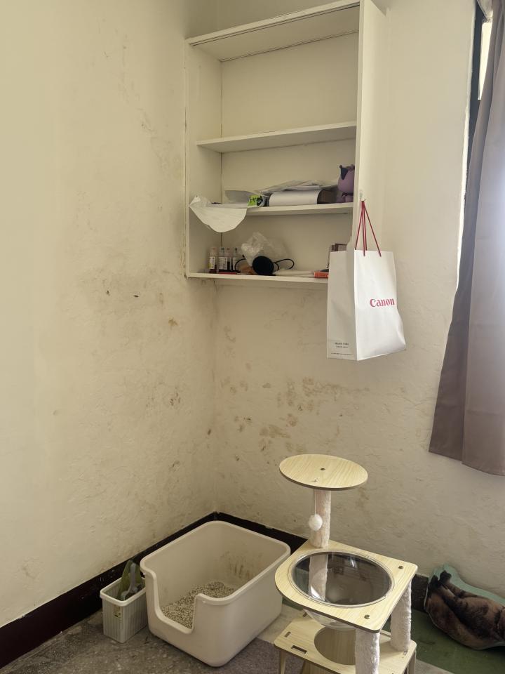 除霉案件圖片
