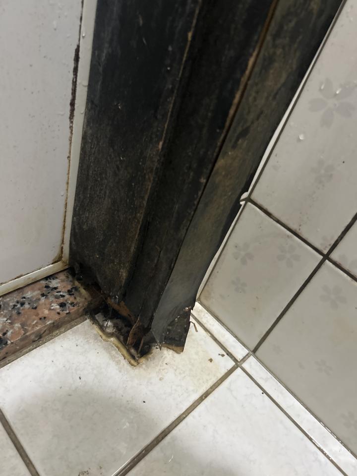 室內設計案件圖片