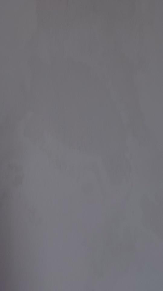 抓漏案件圖片